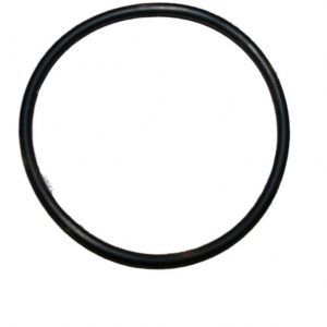 O-Ring für Filterdose